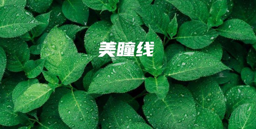美瞳线插图