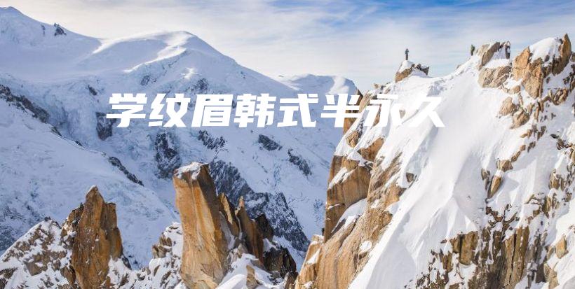 学纹眉韩式半永久插图