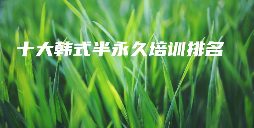 十大韩式半永久培训排名插图