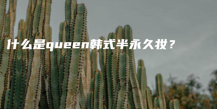 什么是queen韩式半永久妆？插图