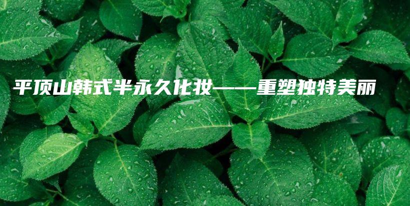 平顶山韩式半永久化妆——重塑独特美丽插图