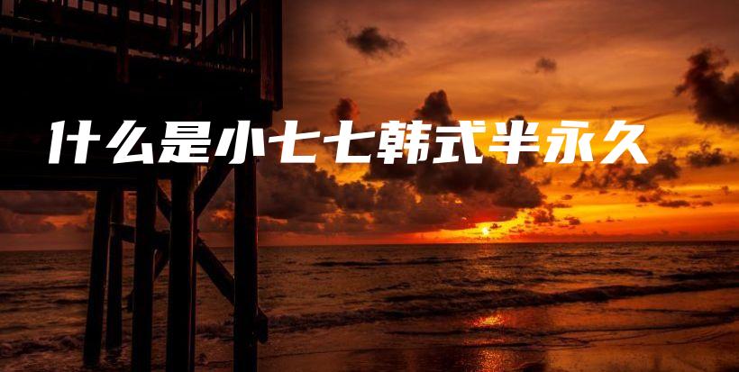 什么是小七七韩式半永久插图