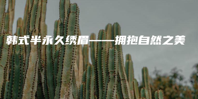 韩式半永久绣眉——拥抱自然之美插图