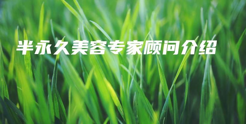 半永久美容专家顾问介绍插图