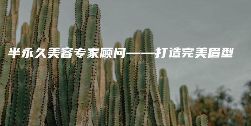 半永久美容专家顾问——打造完美眉型插图