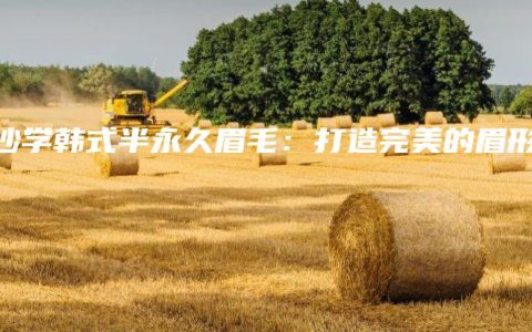 长沙学韩式半永久眉毛：打造完美的眉形