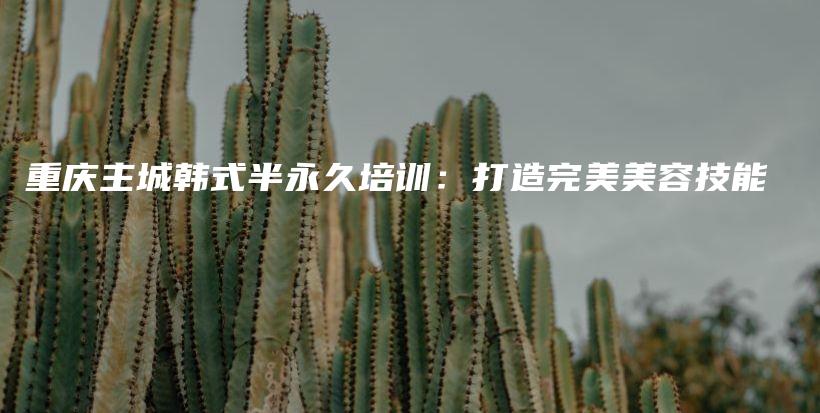 重庆主城韩式半永久培训：打造完美美容技能插图