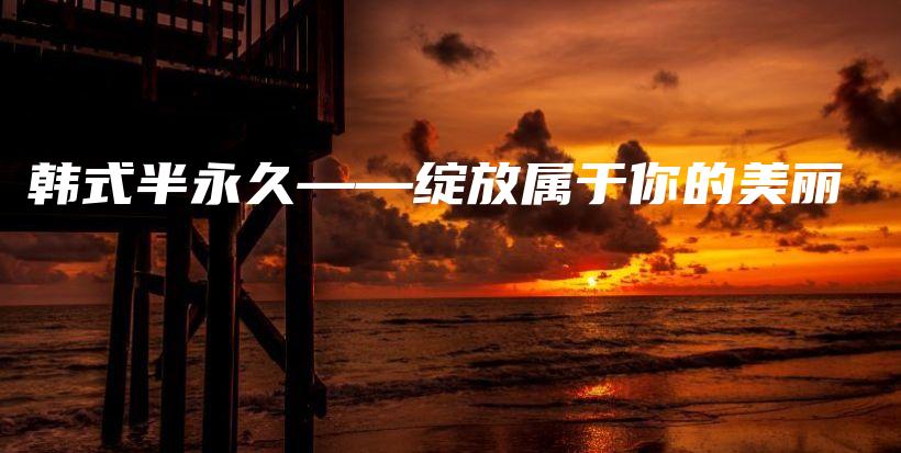 韩式半永久——绽放属于你的美丽插图