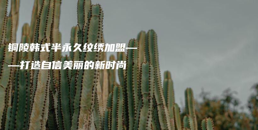 铜陵韩式半永久纹绣加盟——打造自信美丽的新时尚插图