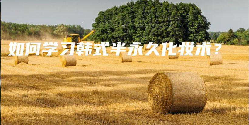如何学习韩式半永久化妆术？插图