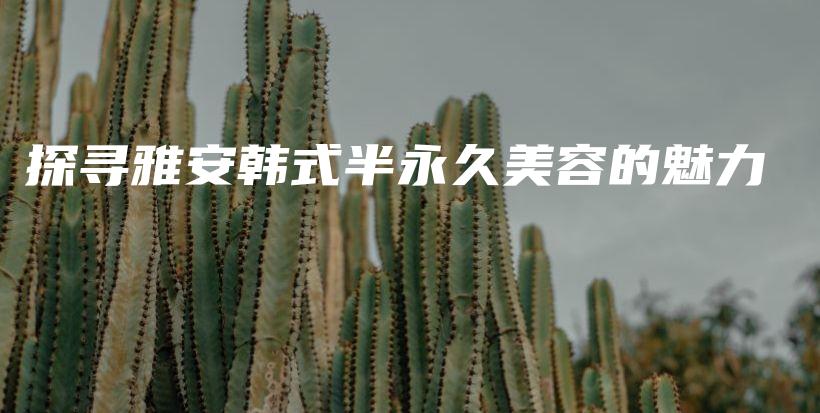探寻雅安韩式半永久美容的魅力插图