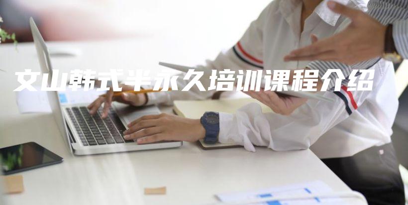 文山韩式半永久培训课程介绍插图