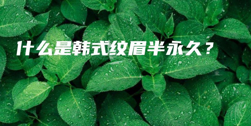 什么是韩式纹眉半永久？插图