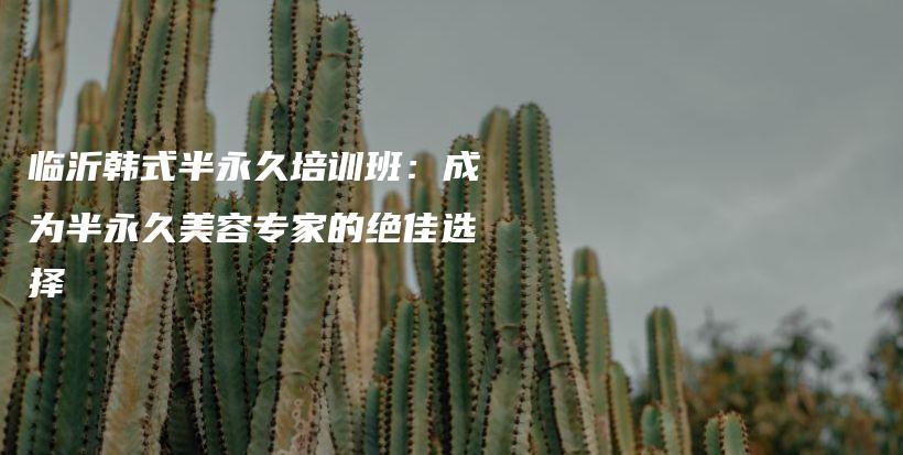 临沂韩式半永久培训班：成为半永久美容专家的绝佳选择插图