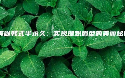 眉美哒韩式半永久：实现理想眉型的美丽秘诀