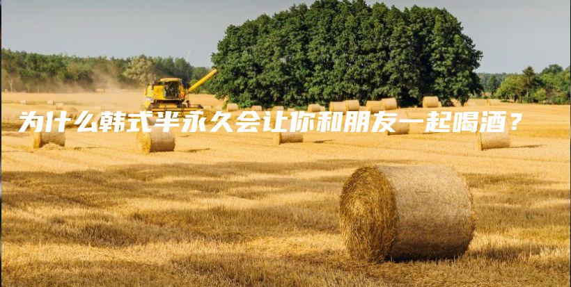 为什么韩式半永久会让你和朋友一起喝酒？插图