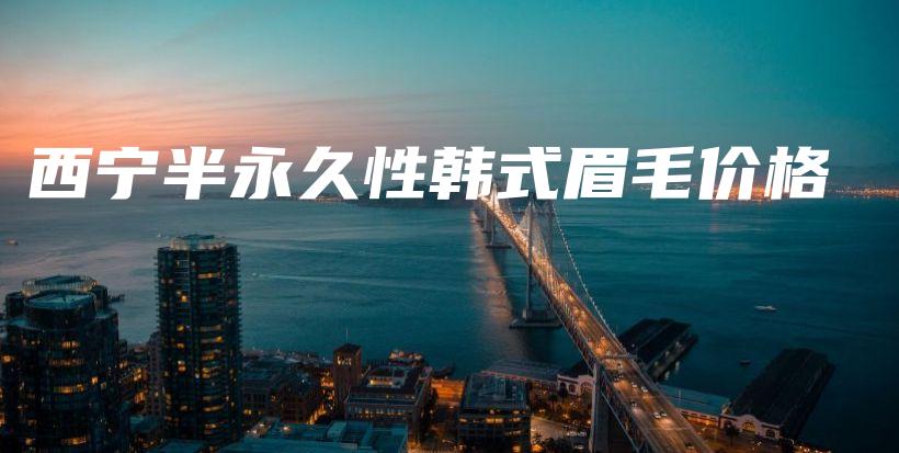 西宁半永久性韩式眉毛价格插图