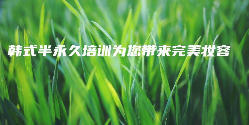 韩式半永久培训为您带来完美妆容插图