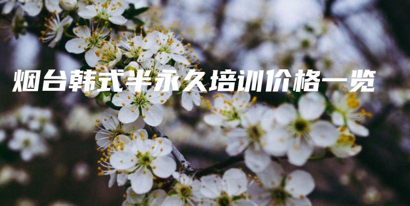 烟台韩式半永久培训价格一览插图