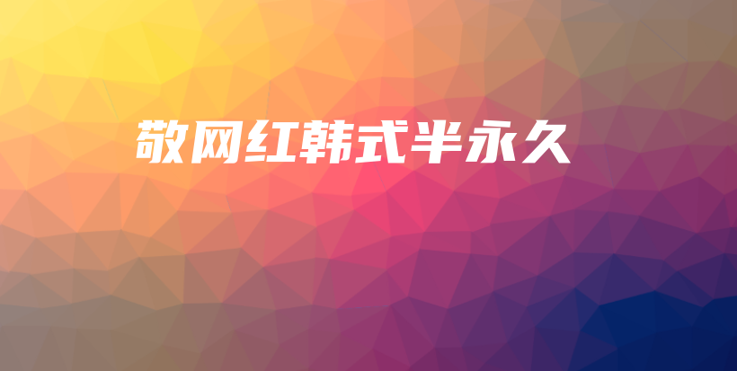 敬网红韩式半永久插图