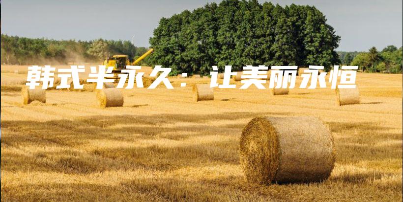 韩式半永久：让美丽永恒插图
