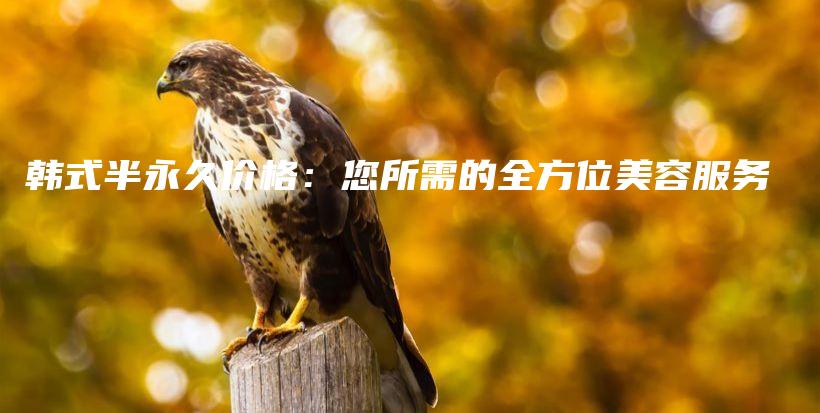 韩式半永久价格：您所需的全方位美容服务插图