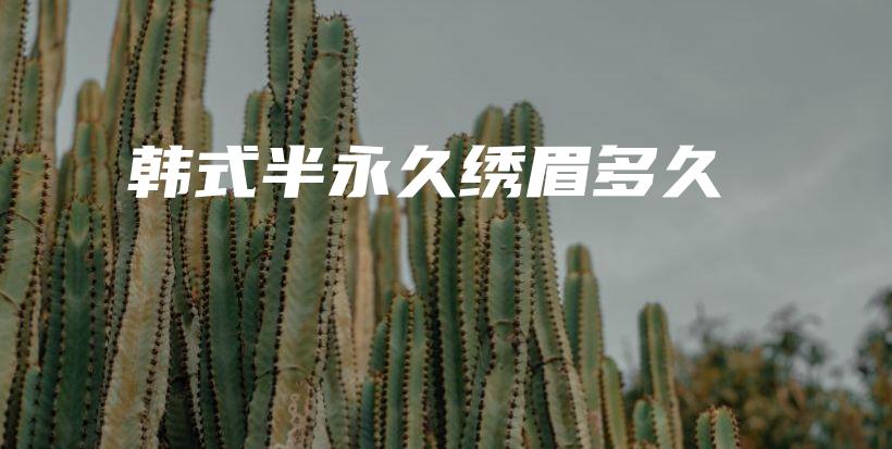 韩式半永久绣眉多久插图