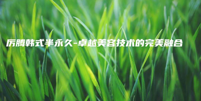 厉腾韩式半永久-卓越美容技术的完美融合插图