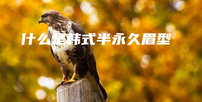 什么是韩式半永久眉型插图