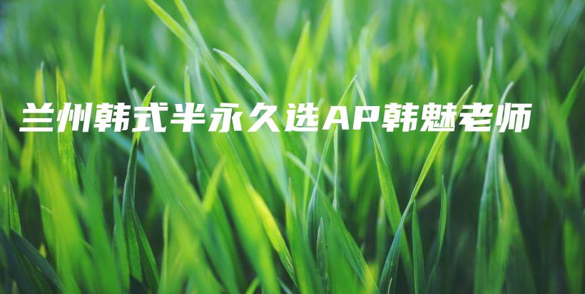 兰州韩式半永久选AP韩魅老师插图