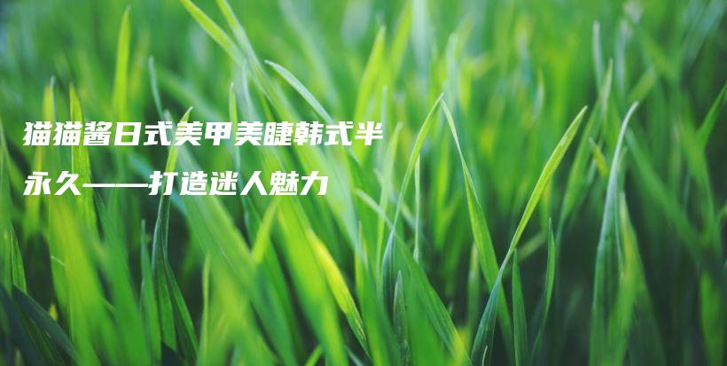 猫猫酱日式美甲美睫韩式半永久——打造迷人魅力插图