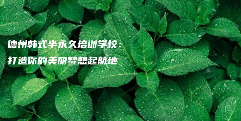 德州韩式半永久培训学校：打造你的美丽梦想起航地插图