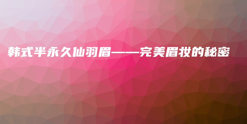 韩式半永久仙羽眉——完美眉妆的秘密插图