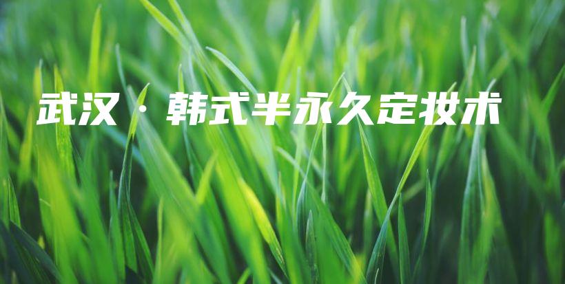 武汉·韩式半永久定妆术插图