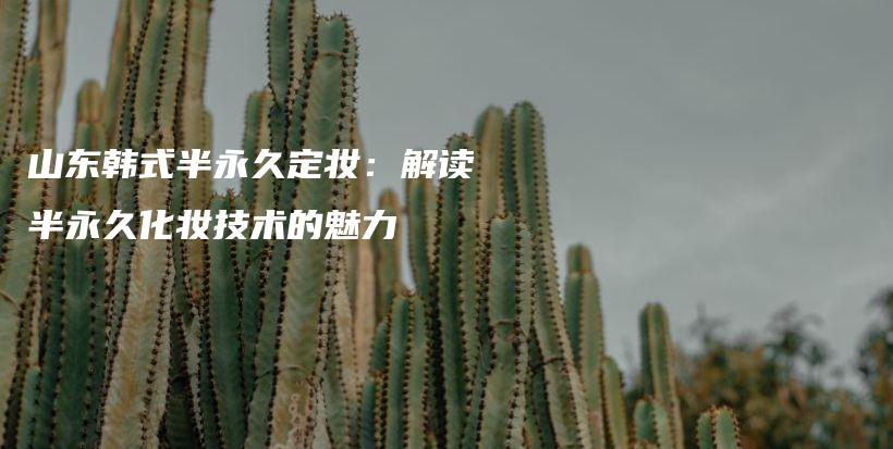 山东韩式半永久定妆：解读半永久化妆技术的魅力插图