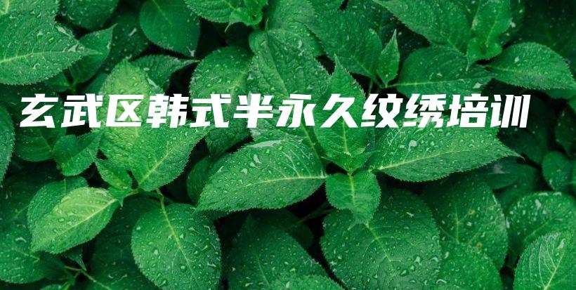 玄武区韩式半永久纹绣培训插图