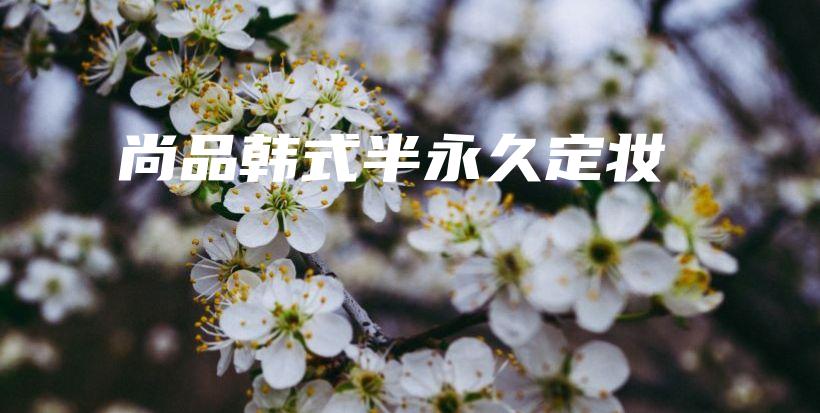 尚品韩式半永久定妆插图