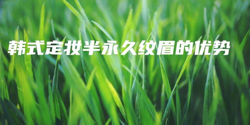 韩式定妆半永久纹眉的优势插图