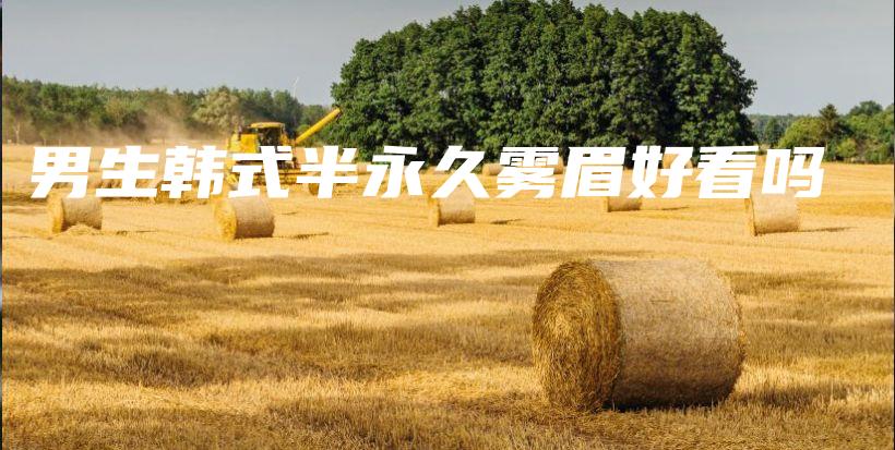 男生韩式半永久雾眉好看吗插图