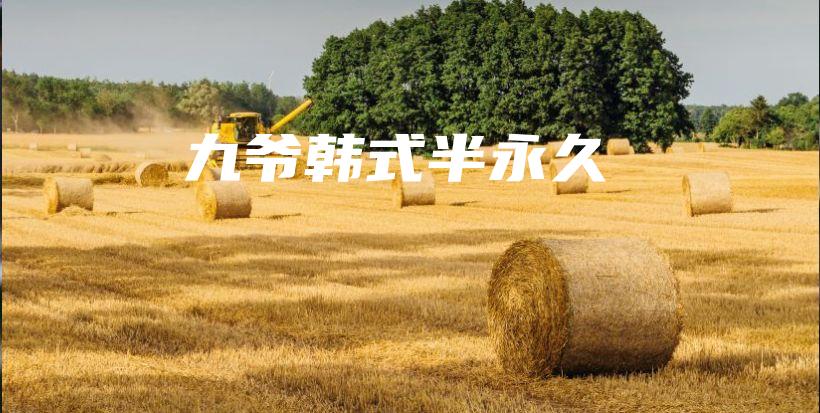 九爷韩式半永久插图