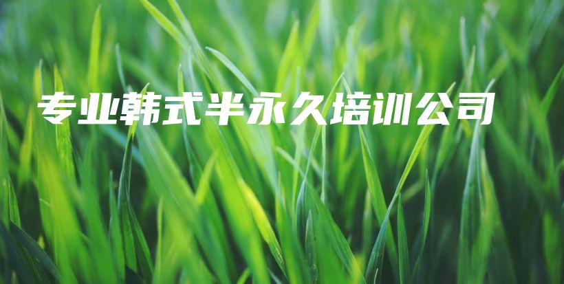 专业韩式半永久培训公司插图