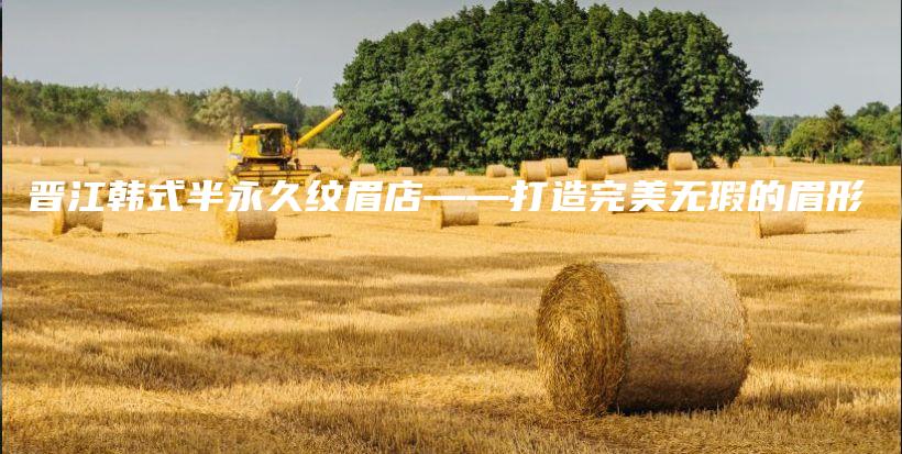 晋江韩式半永久纹眉店——打造完美无瑕的眉形插图