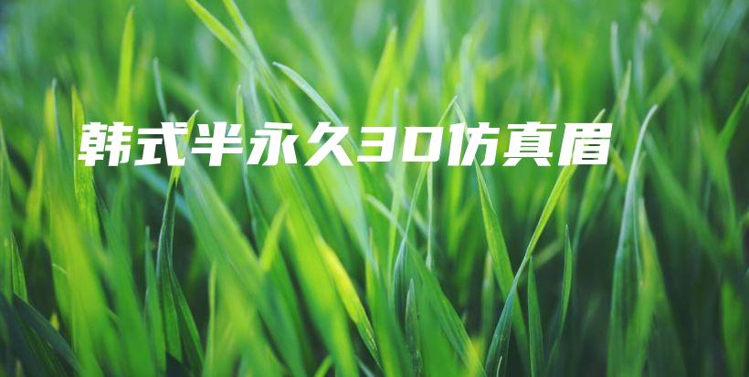 韩式半永久3D仿真眉插图