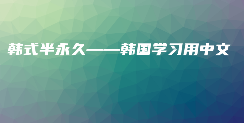 韩式半永久——韩国学习用中文插图