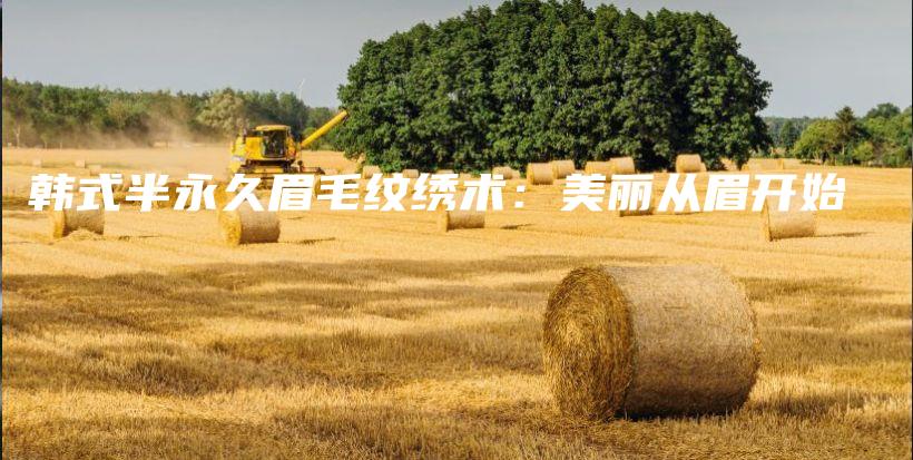 韩式半永久眉毛纹绣术：美丽从眉开始插图