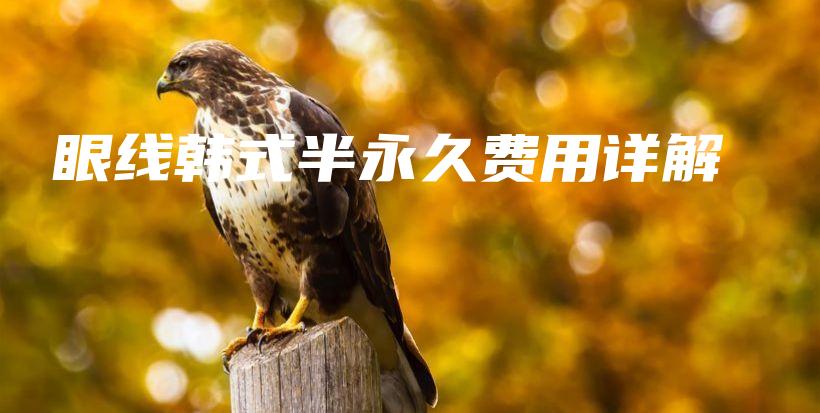 眼线韩式半永久费用详解插图